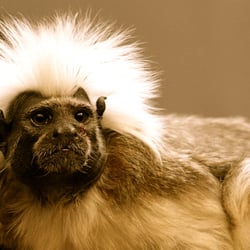 Tierpark Neumünster