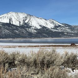 Washoe Lake State Park