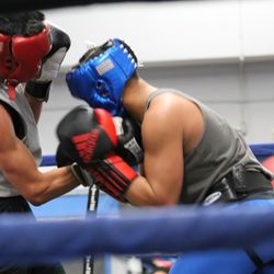 All World Boxing