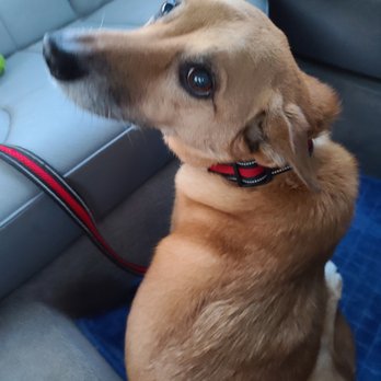 Kavanagh Frank DVM - My best friend loves going to her favorite vet! - Veterinarians Near Me - Ramsey, New Jersey Kavanagh Frank DVM - My best friend loves going to her favorite vet! - Veterinarians Near Me - Ramsey, New Jersey