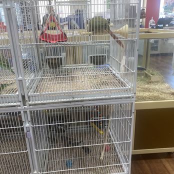 Pet Supermarket - Pet Stores Near Me - Douglasville, Georgia Pet Supermarket - Pet Stores Near Me - Douglasville, Georgia