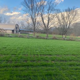 The barn and horse pasture with all the horses out eating!!! I love this view from our room at The Dillard House in Dillard, Georgia. The barn and horse pasture with all the horses out eating!!! I love this view from our room at The Dillard House in Dillard, Georgia.