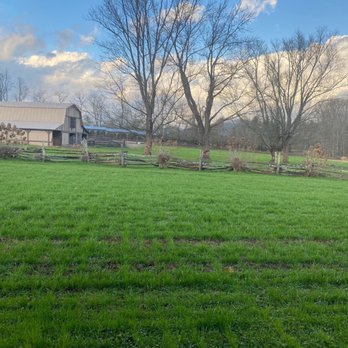 Dillard House Stables - The barn and horse pasture with all the horses out eating!!! I love this view from our room at The Dillard House in Dillard, Georgia. - Horseback Riding Near Me - Dillard, Georgia Dillard House Stables - The barn and horse pasture with all the horses out eating!!! I love this view from our room at The Dillard House in Dillard, Georgia. - Horseback Riding Near Me - Dillard, Georgia
