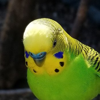 Montgomery Zoo - Zoos Near Me - Montgomery, Alabama