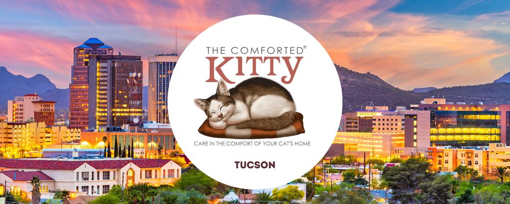 The Comforted Kitty - pet boarding facility in Tucson, AZ