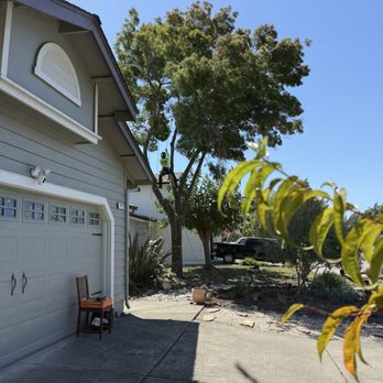 Vema Tree Service - Tree Services Near Me Vema Tree Service - Tree Services Near Me