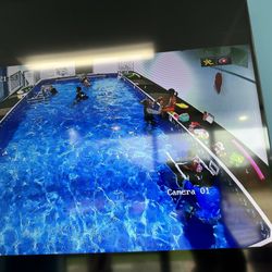 The Swim Clinic