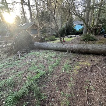 DK Excavation - Excavation Services Near Me - Monroe, Washington DK Excavation - Excavation Services Near Me - Monroe, Washington