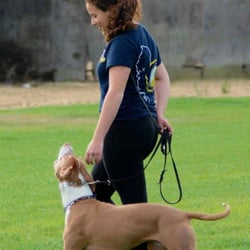 Walk Train Love - Me, Hillary, when I was practicing with my bully-mix Kiyah for our BH, a German obedience test--we passed!