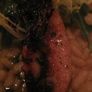 Delfina - grilled calamari - Italian Near Me - San Francisco, California