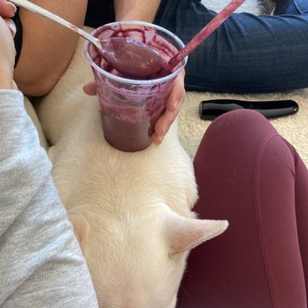 Fruitive - Healthy Food & Smoothies - Juice Bars & Smoothies Near Me - Washington, DC, District of Columbia