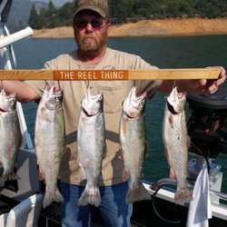 The Reel Thing - What fantastic fish Bob put me on yesterday. Caught some nice bass too.