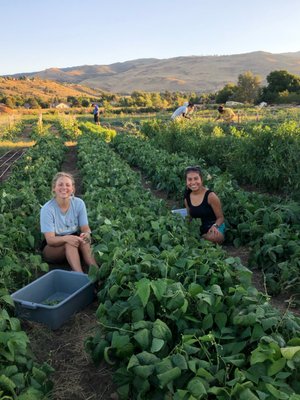Reno Food Systems by null