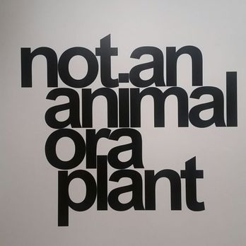 National Art School - Art night - Colleges & Universities Near Me - Darlinghurst, NSW