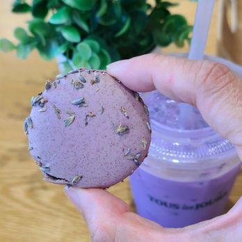 Tous Les Jours - Uber Latte - Bakeries Near Me - Cerritos, California Tous Les Jours - Uber Latte - Bakeries Near Me - Cerritos, California