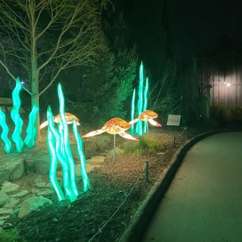 Wild Lights - Festivals Near Me - Louisville, Kentucky Wild Lights - Festivals Near Me - Louisville, Kentucky