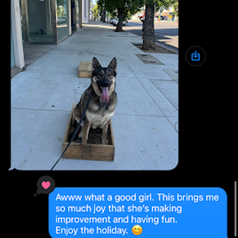 Cali K9 - Owner later claims that the incident occurred due to her aggression. These are text messages from her trainer stating otherwise. - Pet Training Near Me - Los Angeles, California Cali K9 - Owner later claims that the incident occurred due to her aggression. These are text messages from her trainer stating otherwise. - Pet Training Near Me - Los Angeles, California
