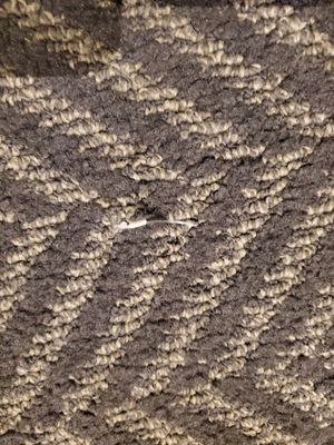 Gold Beach Inn by null