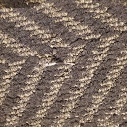 Gold Beach Inn - Fish hook in the carpet