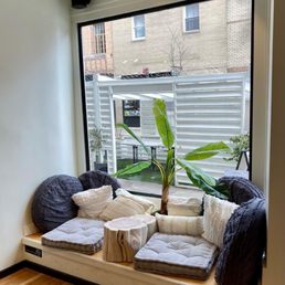 a window seat with pillows and a potted plant