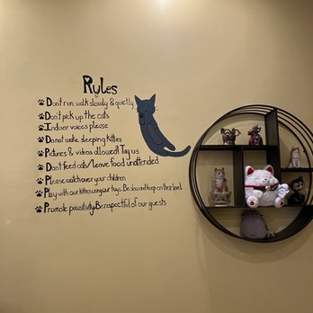 The Pawsitive Cafe - Follow the rules! - Themed Cafes Near Me - Rochester, New York The Pawsitive Cafe - Follow the rules! - Themed Cafes Near Me - Rochester, New York