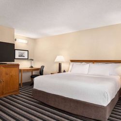 Royal Hotel West Edmonton - Guest room