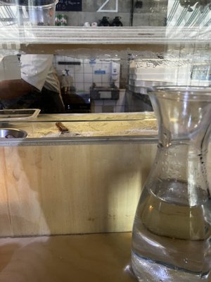 Rudy's Pizza Napoletana - Ancoats by null