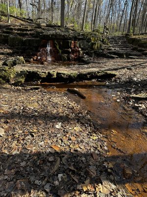 Glen Helen Nature Preserve by null