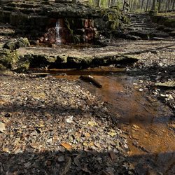 Glen Helen Nature Preserve - Yellow springs
