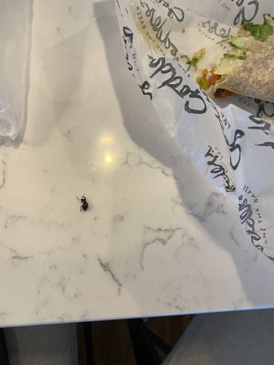 The Goddess and Grocer Bucktown by null