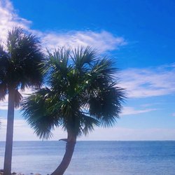 Sunshine Skyway Fishing Piers - South - St. Petersburg...sunny and 76.