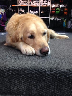 Pinnacle Ski And Sports by null