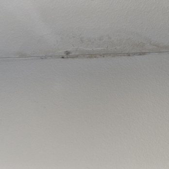 Broadstone EADO - Mildew growing after moving in September 2024 - Apartments Near Me - Houston, Texas