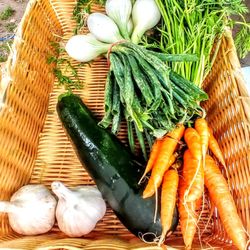 Aquidneck Grower's Market - My basket : fresh carrots, garlic, leeks, zucchini, hardneck garlic. They put in what u want,u pay then put in ur bag Jul22 20 Newport, RI
