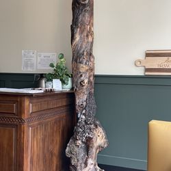 Branch Breakfast - It must be named after this big branch