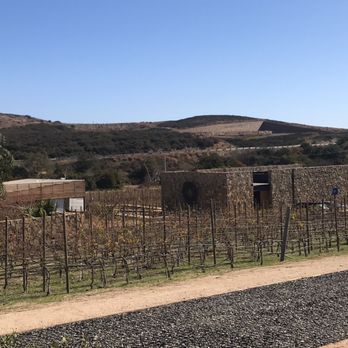 Cabañas Cuatro Cuatros - Winery - Wineries Near Me - Ensenada, BCN