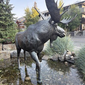 Moose Hotel & Suites - Hotels Near Me - Banff, Alberta Moose Hotel & Suites - Hotels Near Me - Banff, Alberta