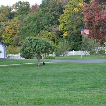 Lawn Dawg - a tree and a house in the background - Lawn Services Near Me - Litchfield, New Hampshire Lawn Dawg - a tree and a house in the background - Lawn Services Near Me - Litchfield, New Hampshire