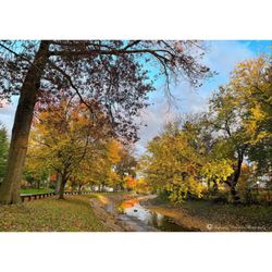 Bernie Anderson Park - #intenselypassionatephotography