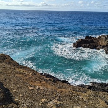 North Shore Beach Bus - Oahu Island Tour - Bus Tours Near Me - Honolulu, Hawaii North Shore Beach Bus - Oahu Island Tour - Bus Tours Near Me - Honolulu, Hawaii