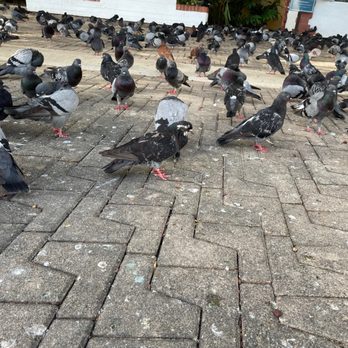 Parque de las Palomas - Parks Near Me - San Juan, Puerto Rico