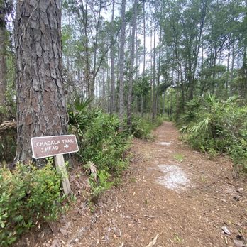 Paynes Prairie Preserve State Park - Parks Near Me - Micanopy, Florida