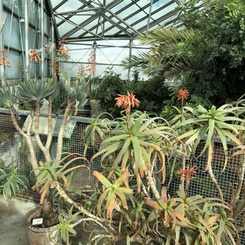 ABQ BioPark Botanic Garden - Botanical Gardens Near Me - Albuquerque, New Mexico ABQ BioPark Botanic Garden - Botanical Gardens Near Me - Albuquerque, New Mexico