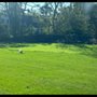 Photo of Mikes Landscaping