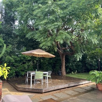 Pearloga Tree service - Before - Tree Services Near Me Pearloga Tree service - Before - Tree Services Near Me