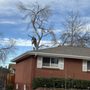 Photo of Senn's Tree Service