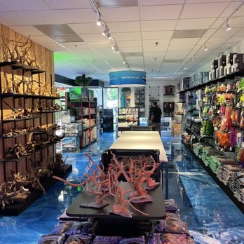 The Fish Room - Pet Stores Near Me - Raleigh, North Carolina The Fish Room - Pet Stores Near Me - Raleigh, North Carolina
