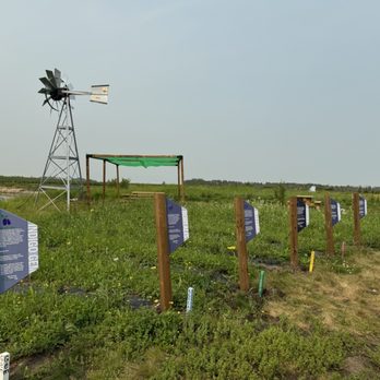 Rosy Farms - Farms Near Me - Alcomdale, Alberta
