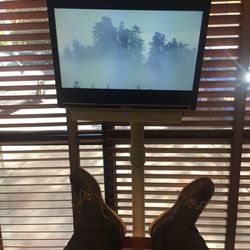 Rocklin Plaza Dental - They have planet earth (BBC) playing while you get your exam