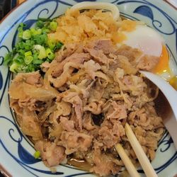 Marugame Udon